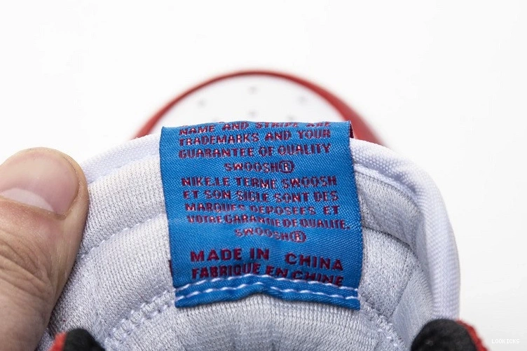 Reps Air Spider Jordan 555088-602 Man 1 0509